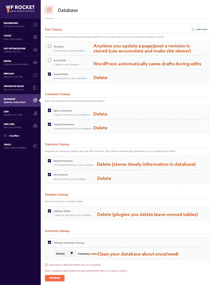WP-Rocket-Database-Settings