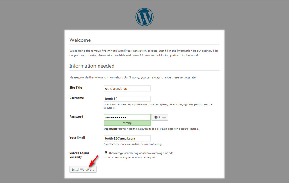 Halaman pengisian informasi dasar WordPress