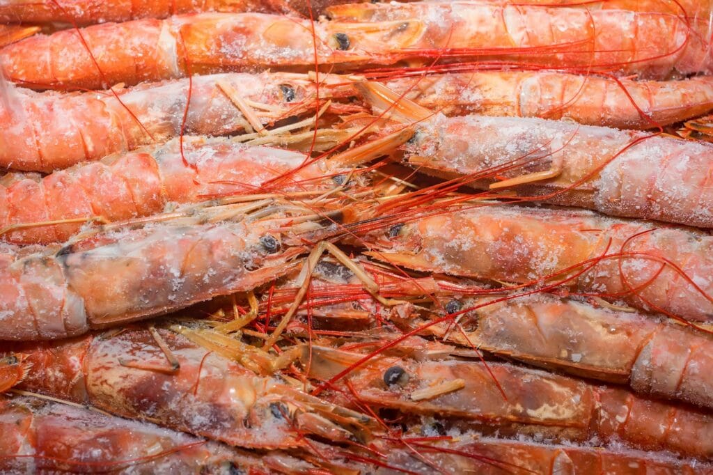 Fresh raw frozen langoustines as a background